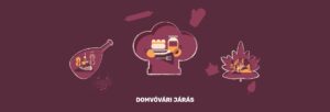 Dombóvári járás
